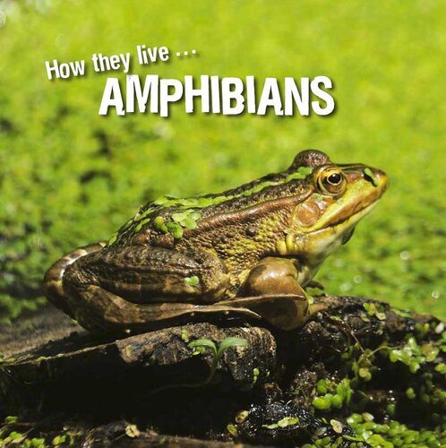 descargar libro How they live... Amphibians: Learn All There Is to Know About These Animals!
