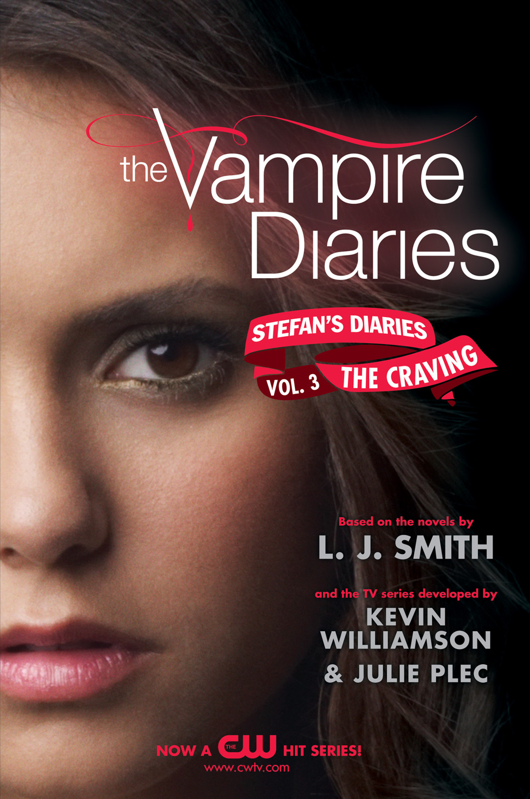 descargar libro The Vampire Diaries: Stefan's Diaries 3