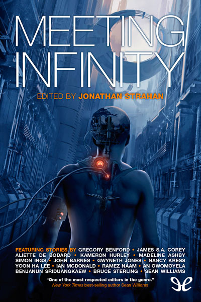 descargar libro Meeting Infinity