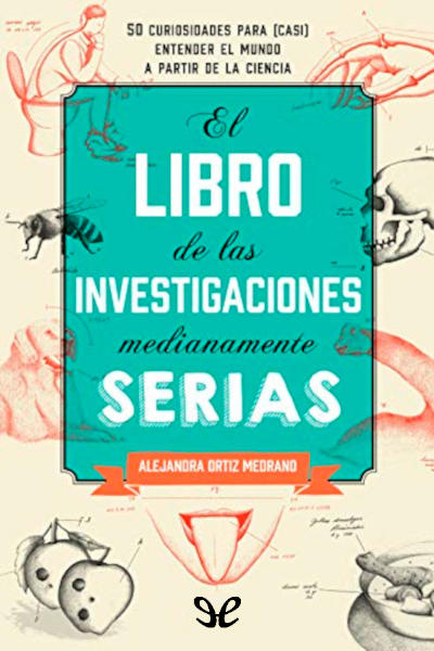 descargar libro El Libro de las Investigaciones Medianamente Serias