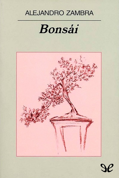 descargar libro Bonsi