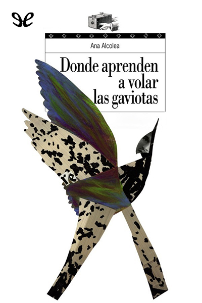 libro gratis Donde aprenden a volar las gaviotas