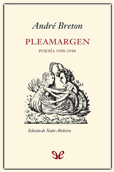 descargar libro Pleamargen