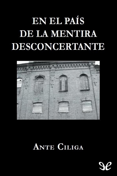 descargar libro En el país de la mentira desconcertante