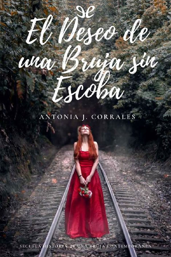 descargar libro El deseo de una bruja sin escoba