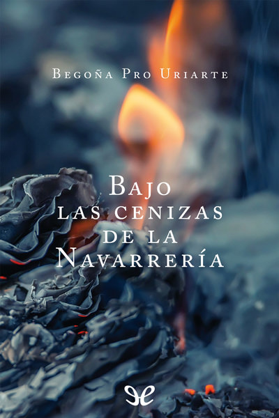 descargar libro Bajo las cenizas de la Navarrería