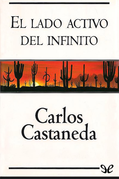 descargar libro El lado activo del infinito