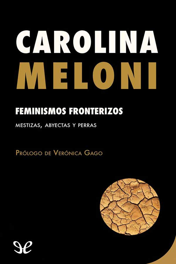 descargar libro Feminismos fronterizos: mestizas, abyectas y perras