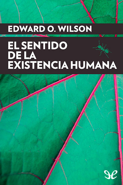 descargar libro El sentido de la existencia humana