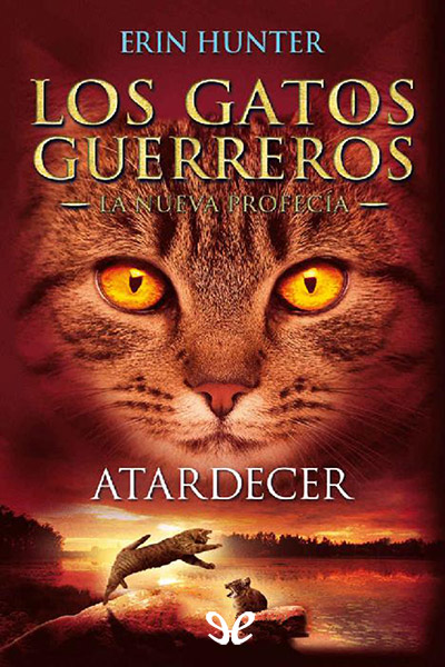 descargar libro Atardecer