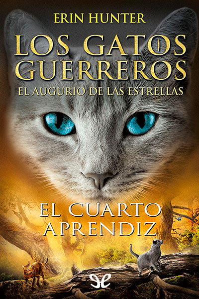 descargar libro El cuarto aprendiz