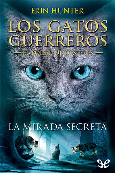 descargar libro La mirada secreta