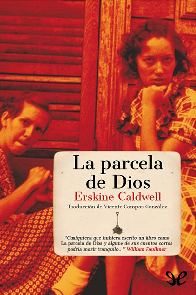 descargar libro La parcela de Dios