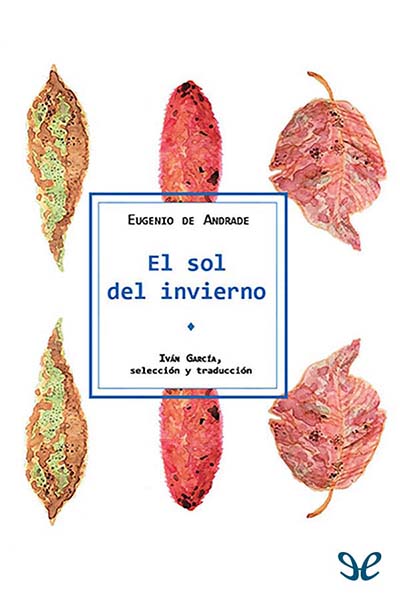 descargar libro El sol del invierno