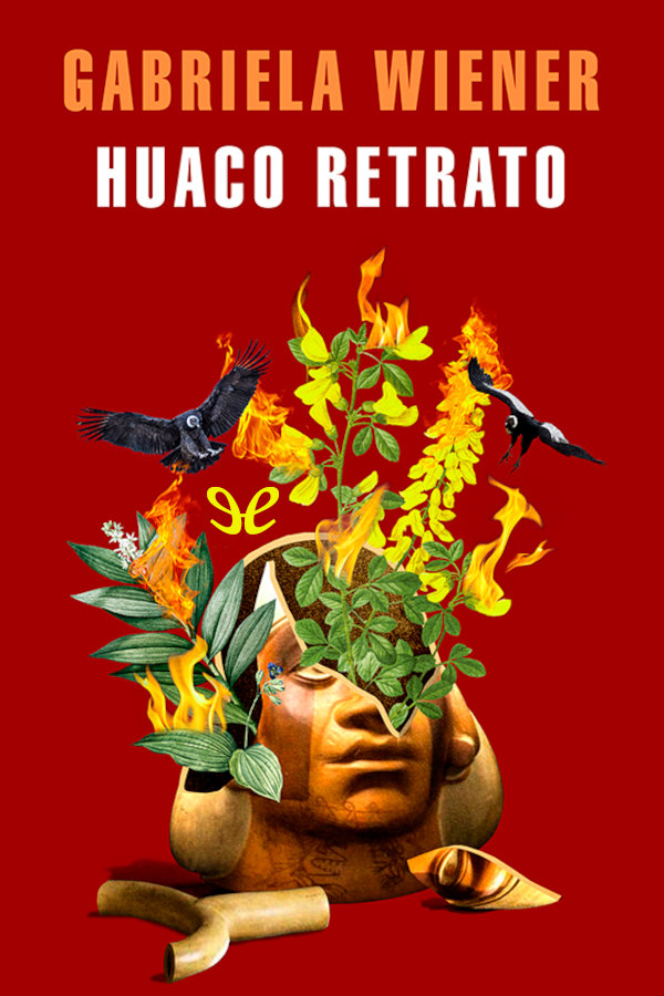 libro gratis Huaco retrato