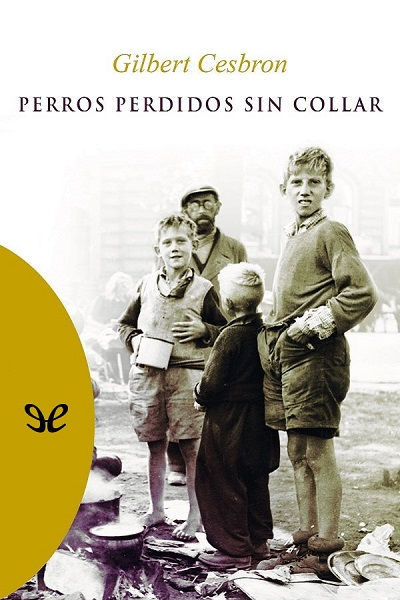 libro gratis Perros perdidos sin collar