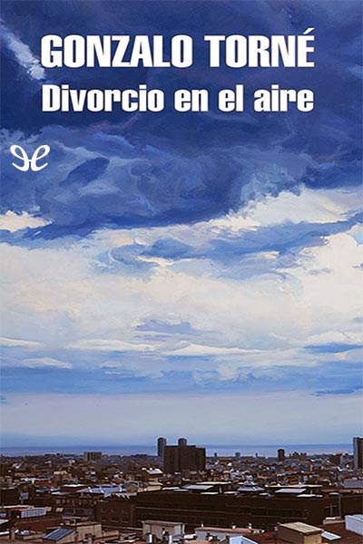 descargar libro Divorcio en el aire