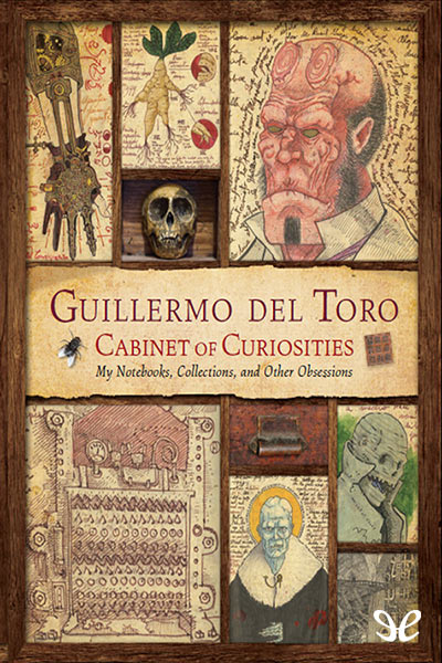 descargar libro Cabinet of Curiosities. My Notebooks, Collections, and Other Obsessions