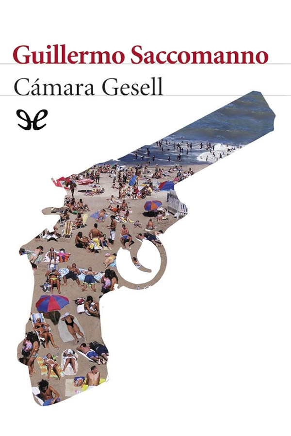 descargar libro Cámara Gesell