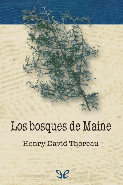 descargar libro Los bosques de Maine