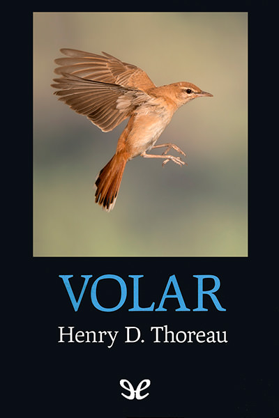 descargar libro Volar