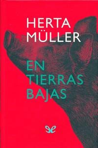 descargar libro En tierras bajas