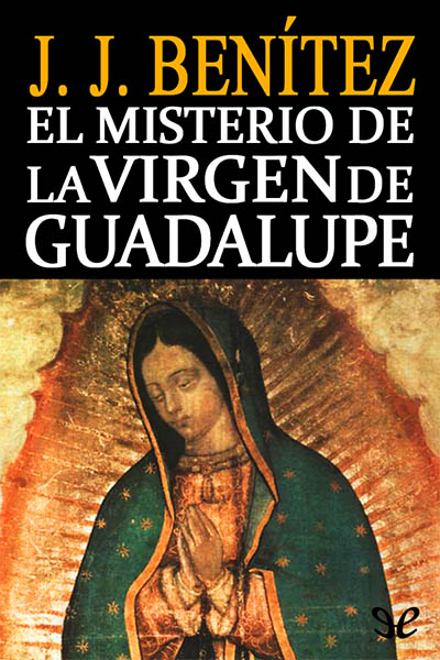 descargar libro El misterio de la Virgen de Guadalupe