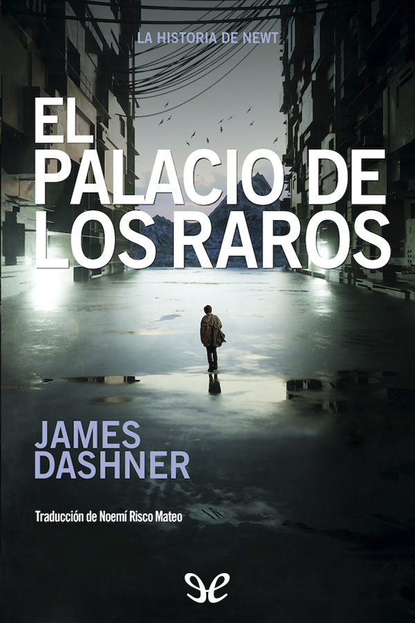 descargar libro El Palacio de los Raros