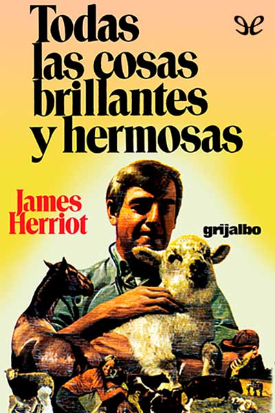 descargar libro Todas las cosas brillantes y hermosas