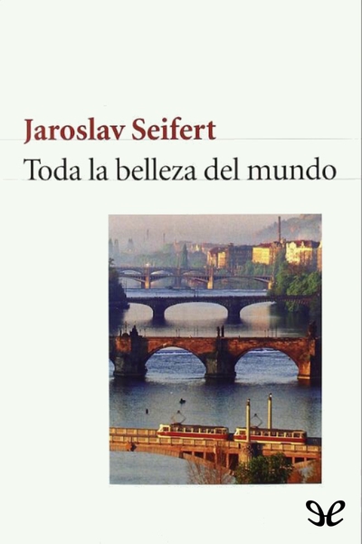 descargar libro Toda la belleza del mundo