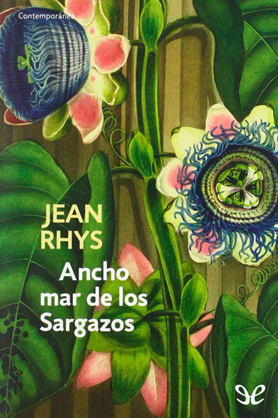 descargar libro Ancho mar de los Sargazos