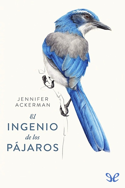 descargar libro El ingenio de los pájaros