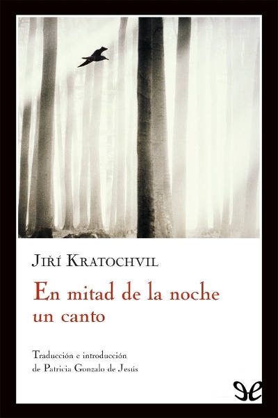 libro gratis En mitad de la noche un canto