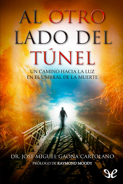 descargar libro Al otro lado del túnel