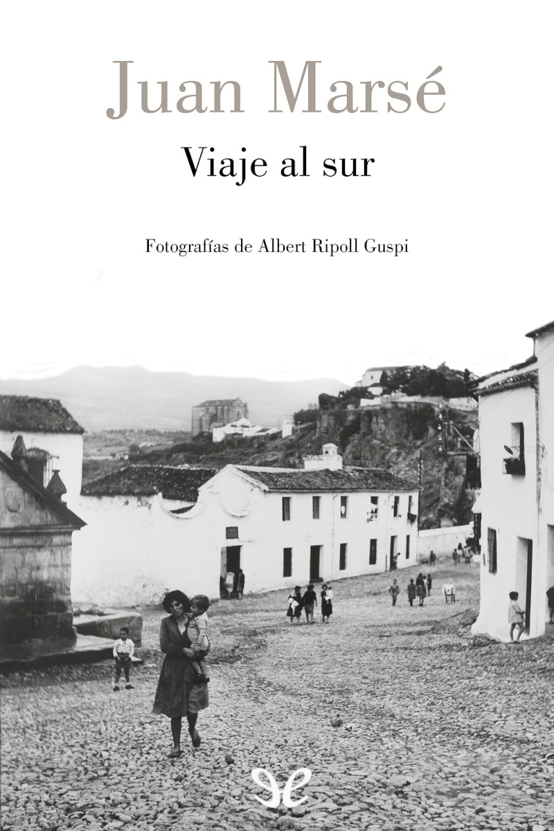 descargar libro Viaje al sur