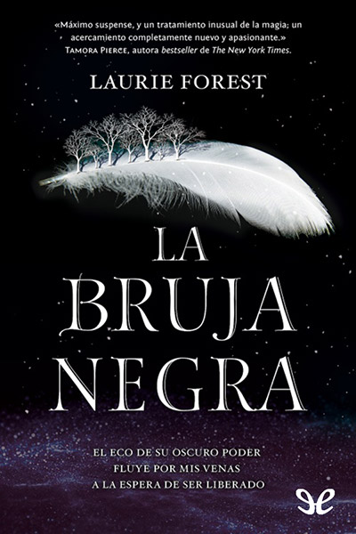 descargar libro La bruja negra