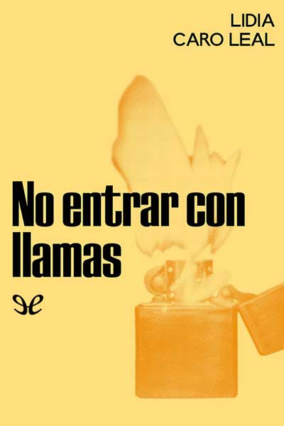 descargar libro No entrar con llamas