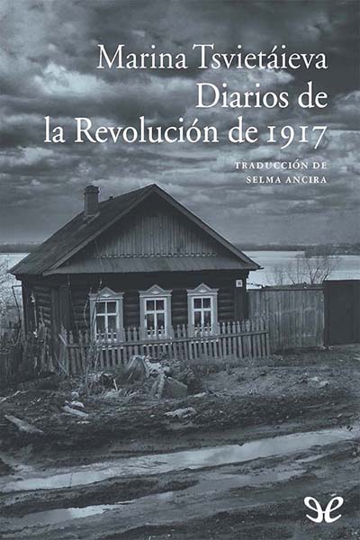 descargar libro Diarios de la Revolucion de 1917