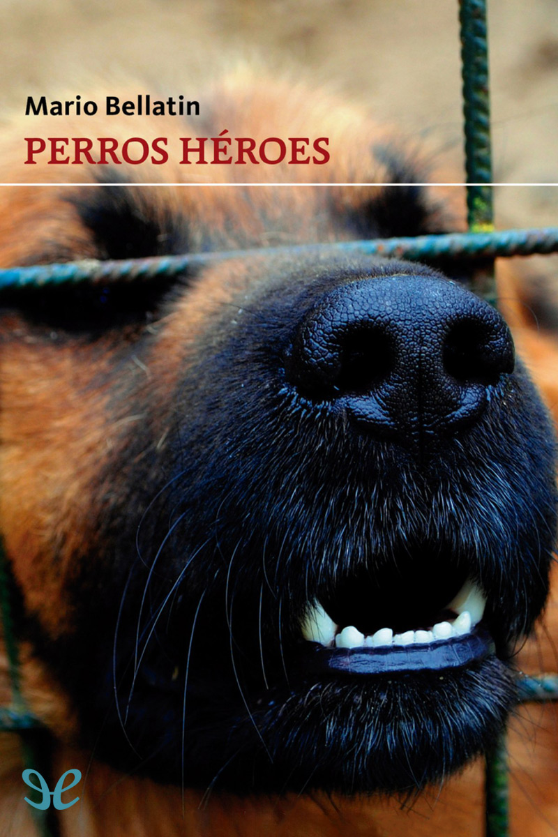 descargar libro Perros hroes