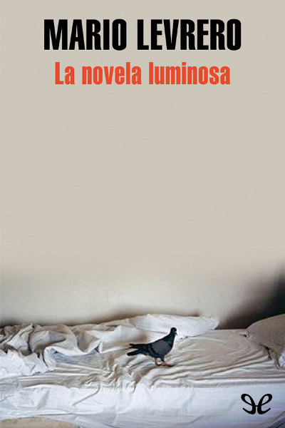 descargar libro La novela luminosa