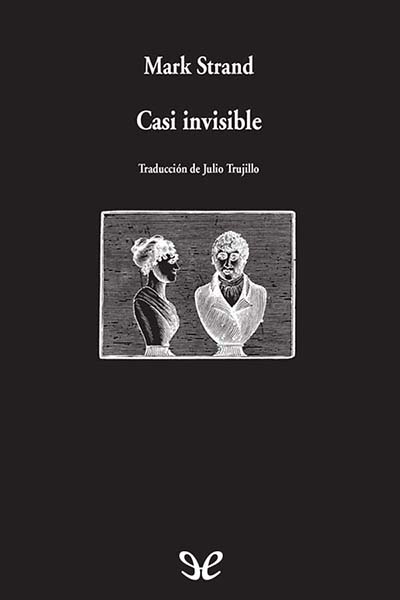 descargar libro Casi invisible