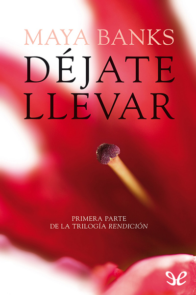 descargar libro Djate llevar