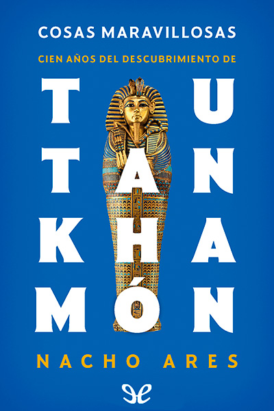 descargar libro Cosas maravillosas. Cien años del descubrimiento de Tutankhamón