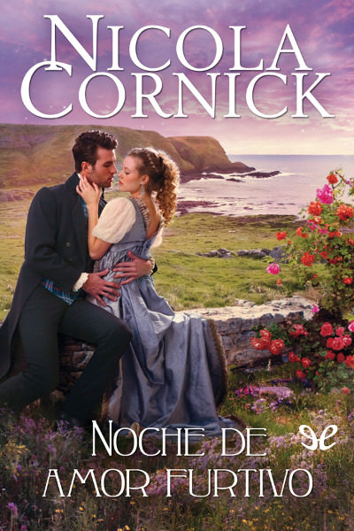 descargar libro Noche de amor furtivo