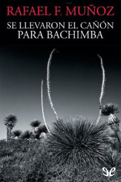 descargar libro Se llevaron el cañón para Bachimba