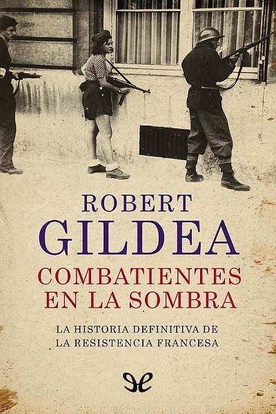 descargar libro Combatientes en la sombra