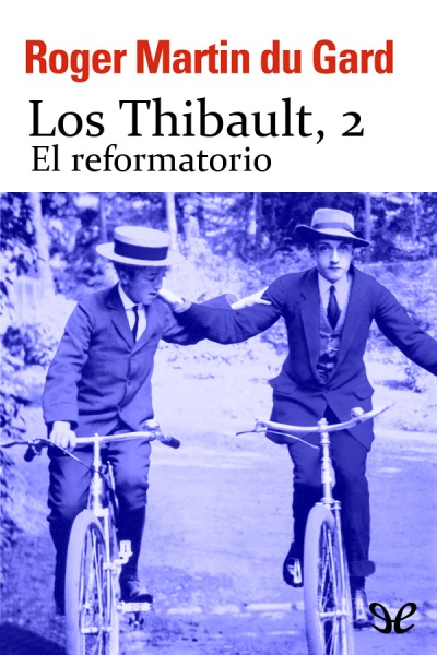 descargar libro El reformatorio