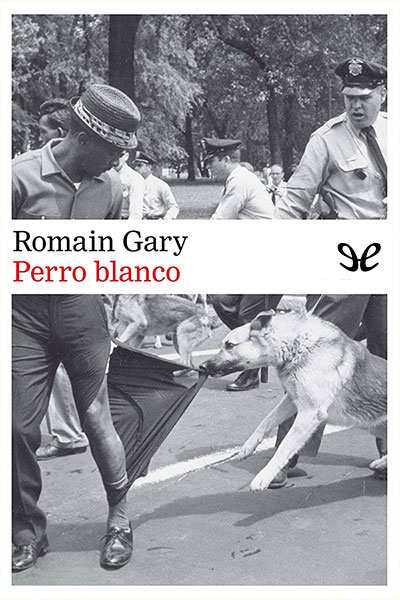 libro gratis Perro blanco