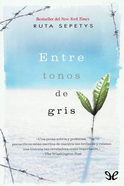 descargar libro Entre tonos de gris