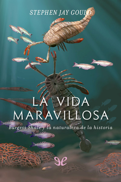 descargar libro La vida maravillosa